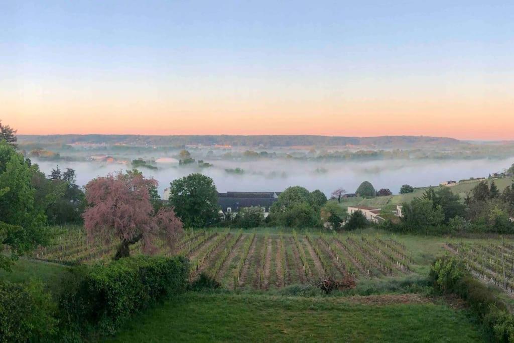 Maison Vue Panoramique Depuis Le Coteau De Chinon Ngoại thất bức ảnh
